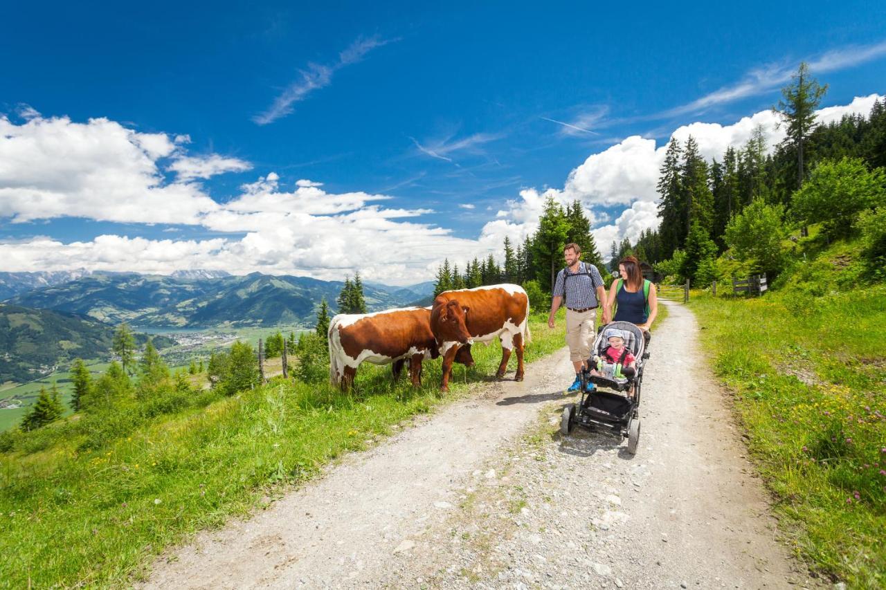 Aparthotel Zell Am Zell am See